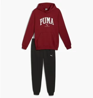 Спортивный костюм мужской Puma Squad Hooded Tracksuit Bordo/Black 681901-13