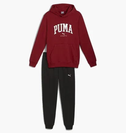 Спортивный костюм мужской Puma Squad Hooded Tracksuit Bordo/Black 681901-13
