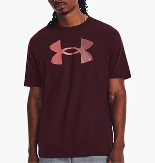 Футболка мужская Under Armour T-Shirt Ua Big Logo Fill Ss-Mrn Brown 1379451-600