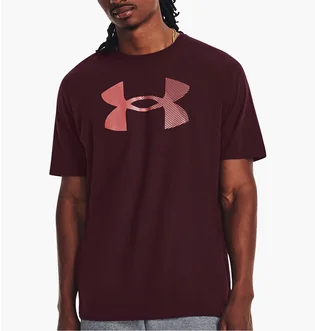 Футболка мужская Under Armour T-Shirt Ua Big Logo Fill Ss-Mrn Brown 1379451-600
