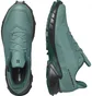 Кросівки жіночі Salomon Alphacross 5 Gtx Blue L47595000