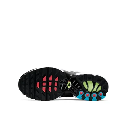 Кроссовки детские Nike Air Max Plus Gs Strike Flash Crimson Multi CD0609-010