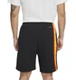 Шорты мужские Nike Dri-Fit Rayguns Black CV1936-010