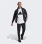 Спортивний костюм чоловічий Adidas Sportswear Basic 3-Stripes Tricot Track Suit Set Black Ic6747
