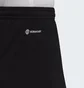 Шорты мужские Adidas Entrada 22 Shorts Black H57504