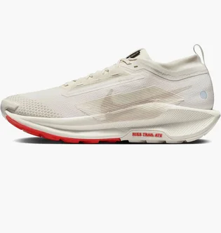 Кроссовки мужские Nike Pegasus Trail 5 Gore-Tex Beige FQ0908-100