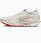 Кросівки чоловічі Nike Pegasus Trail 5 Gore-Tex Beige FQ0908-100