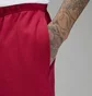 Шорты мужские Air Jordan Flight Fleece Red DQ7472-619