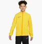 Олимпийка детская Nike Academy 23 Yellow DR1695-719