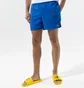 Шорти чоловічі Nike Essential Blue NESSA560494