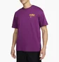 Футболка мужская Nike Nsw Tee M90 Oc Lbr Dna Violet FZ5385-503