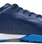 Сороконіжки чоловічі Puma King Match Tt Blue 107260-02