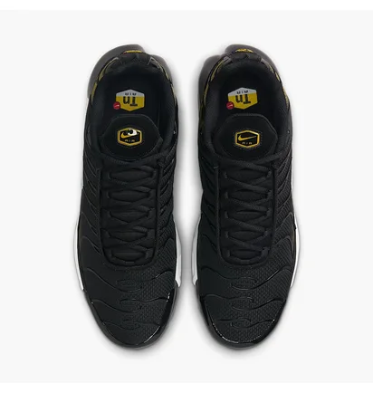 Кроссовки мужские Nike Air Max Plus Black DM0032-013
