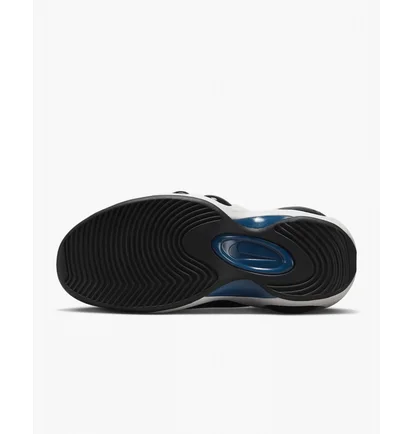 Кросівки чоловічі Nike Air Zoom Flight 95 Black Dv6994-001