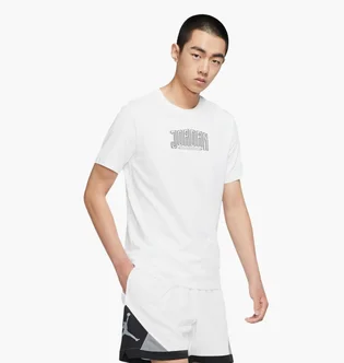 Футболка мужская Air Jordan Sport Dna White DA9914-100
