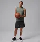Шорты мужские Air Jordan Diamond Grey IF0861-010