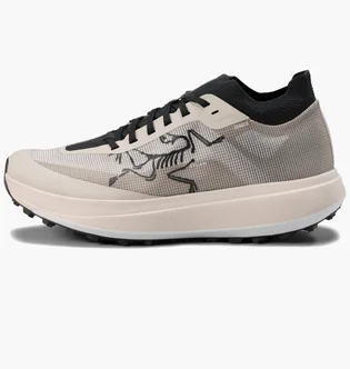 Кроссовки мужские Arc'teryx Sylan Pro Beige L08187800