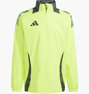 Ветровка мужская Adidas Tiro 24 Competiton Allweather Green IR9519