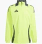 Ветровка мужская Adidas Tiro 24 Competiton Allweather Green IR9519