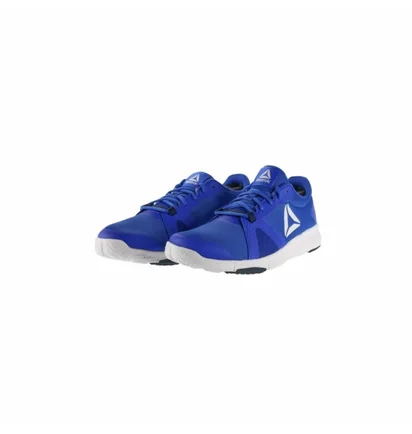 Кросівки чоловічі Reebok Flexile Blue BS8046