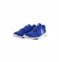 Кросівки чоловічі Reebok Flexile Blue BS8046