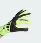 Перчатки вратарские Adidas Copa Gl League Green/Black JN5344