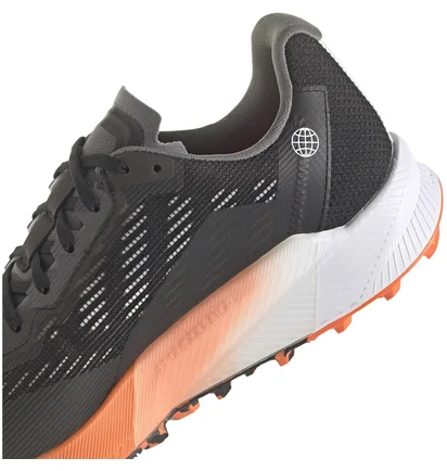 Кросівки чоловічі Adidas Terrex Agravic Flow 2 Gtx Black HR1110