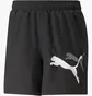 Шорты мужские Puma Ess+ Logo Power Black 673382-01