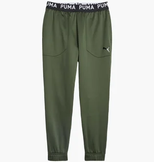 Штаны мужские Puma Train Pwr Fleece Jogger Green 520894-31