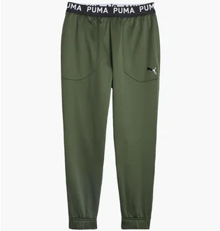 Штаны мужские Puma Train Pwr Fleece Jogger Green 520894-31