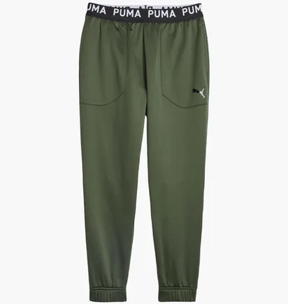 Штаны мужские Puma Train Pwr Fleece Jogger Green 520894-31