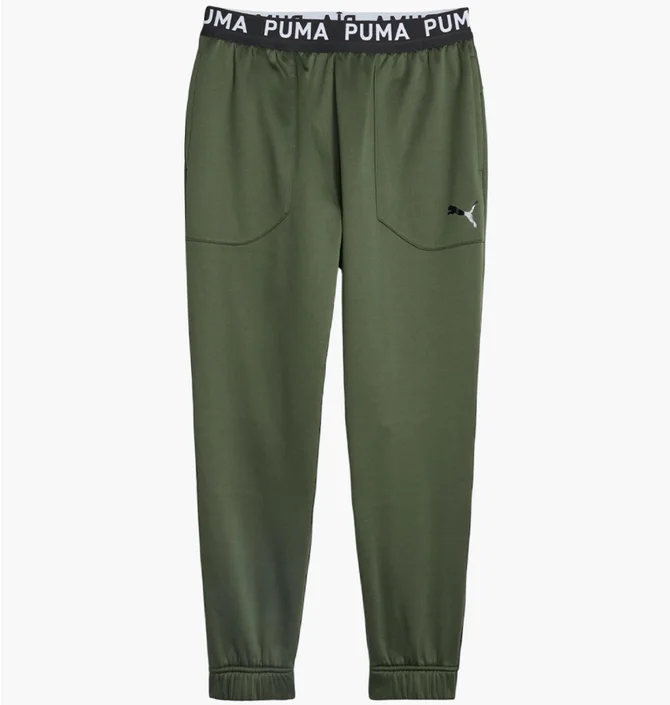 Штаны мужские Puma Train Pwr Fleece Jogger Green 520894-31