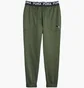 Штаны мужские Puma Train Pwr Fleece Jogger Green 520894-31