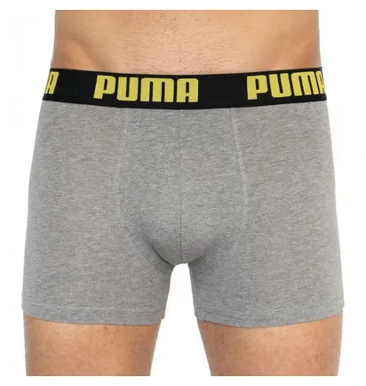 Трусы мужские Puma Statement Boxer Multi (2 шт) 501006001-020
