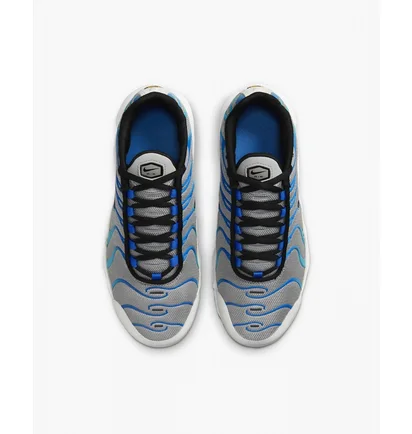 Кросівки дитячі Nike Air Max Plus Grey CD0609-019