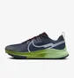 Кроссовки мужские Nike Pegasus Trail 4 Blue DJ6158-403