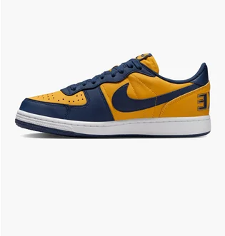Кроссовки мужские NIKE Terminator Low Og Blue/Yellow FJ4206-700