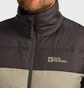 Пуховик чоловічий Jack Wolfskin Ather Down Grey/Beige 1207681-5940