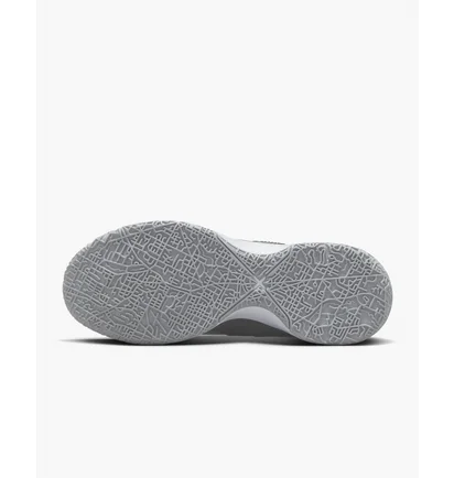 Кросівки унісекс Nike Lebron Nxxt Gen Basketball Shoes Grey DR8784-004