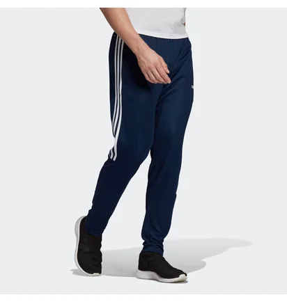 Штаны мужские Adidas Sere19 Trg Pnt Blue DY3134