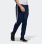 Штаны мужские Adidas Sere19 Trg Pnt Blue DY3134