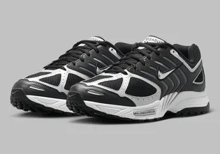 Кросівки чоловічі Nike Air Pegasus 2005 Black HQ3031-001