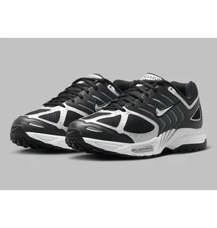 Кросівки чоловічі Nike Air Pegasus 2005 Black HQ3031-001