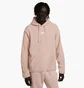 Худі чоловіче Nike Sportswear Beige FJ0726-601