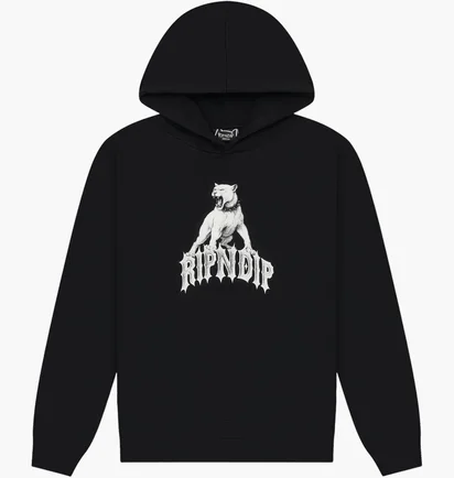Худи унисекс Ripndip Wasteland Black RNDSPR26129