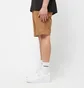 Шорты мужские Dickies Duck Canvas Short Brown DK0A4XNGC411