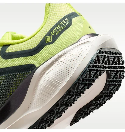 Кросівки жіночі Nike Pegasus 41 Gore Tex Green FQ1357-300