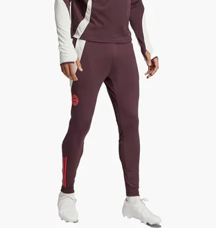 Штаны мужские Adidas Fc Bayern Tiro 24 Training Bordo IS9939