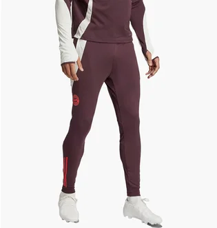 Штани чоловічі Adidas Fc Bayern Tiro 24 Training Bordo IS9939
