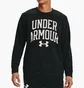 Свитшот мужской Under Armour Rival Terry Training Sweatshirt Black 1361561-001